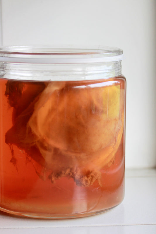 probiotic for bloating