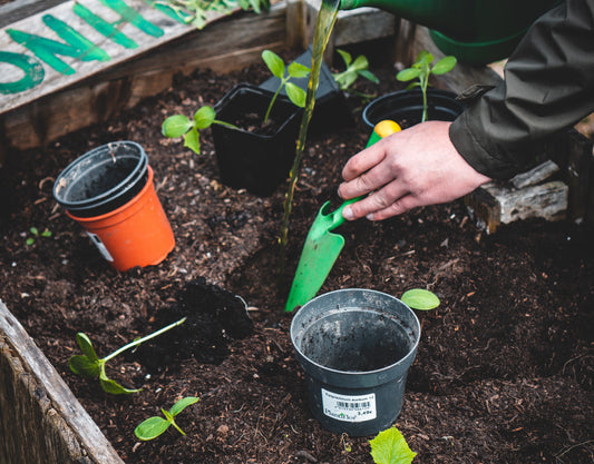 Gardening in the Fall for Healthy Living