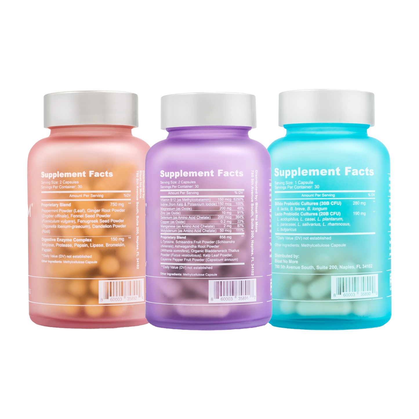 Elevate Your Wellness Program (Monthly Membership)