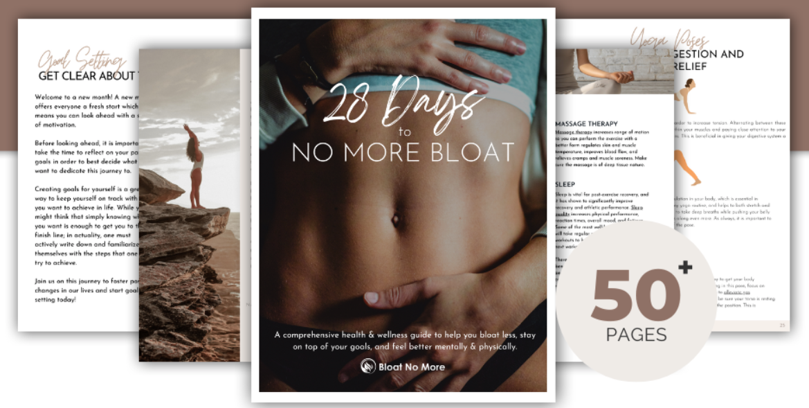 28 Days To No More Bloat Wellness Program (Digital Download)