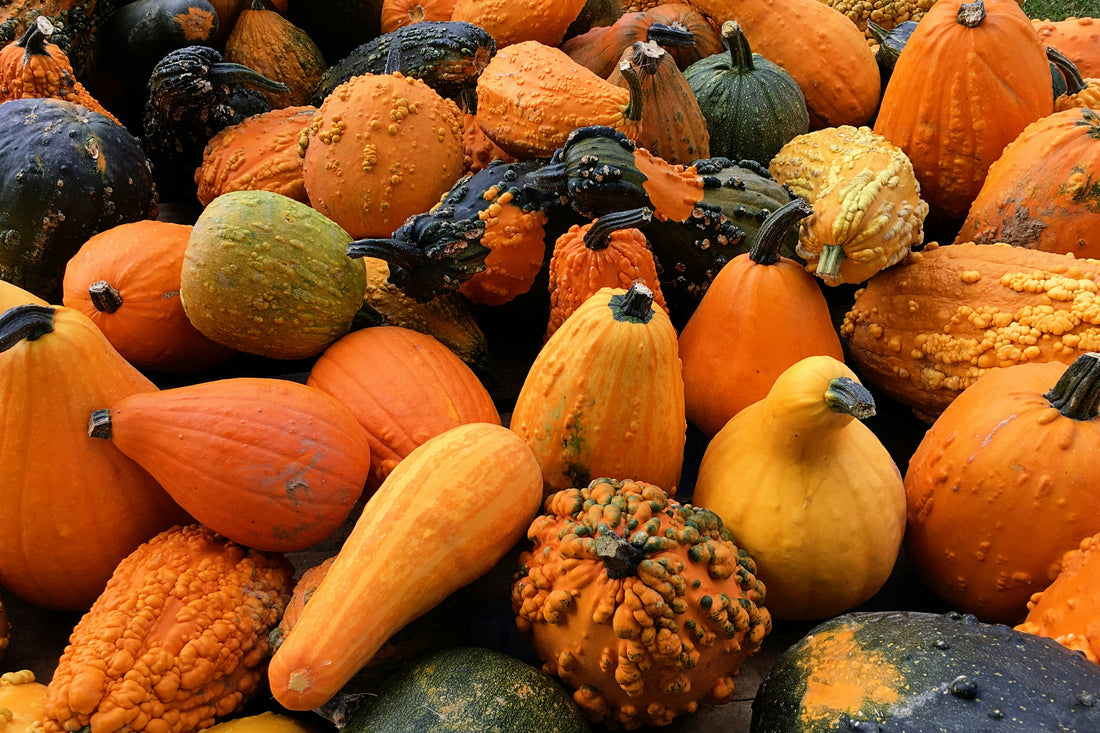 fall foods for digestion