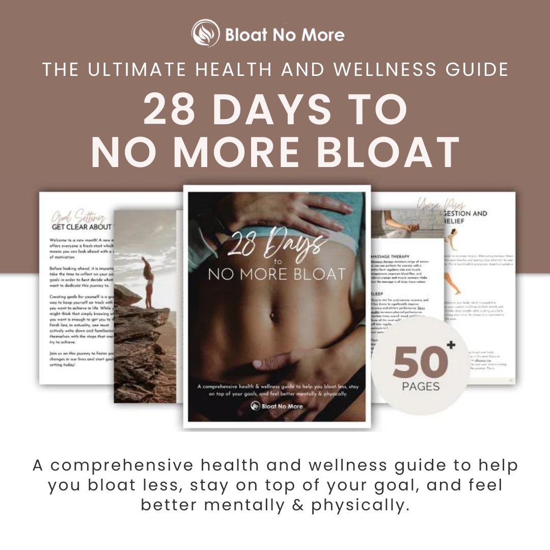 28 Days To No More Bloat Wellness Program (Digital Download)